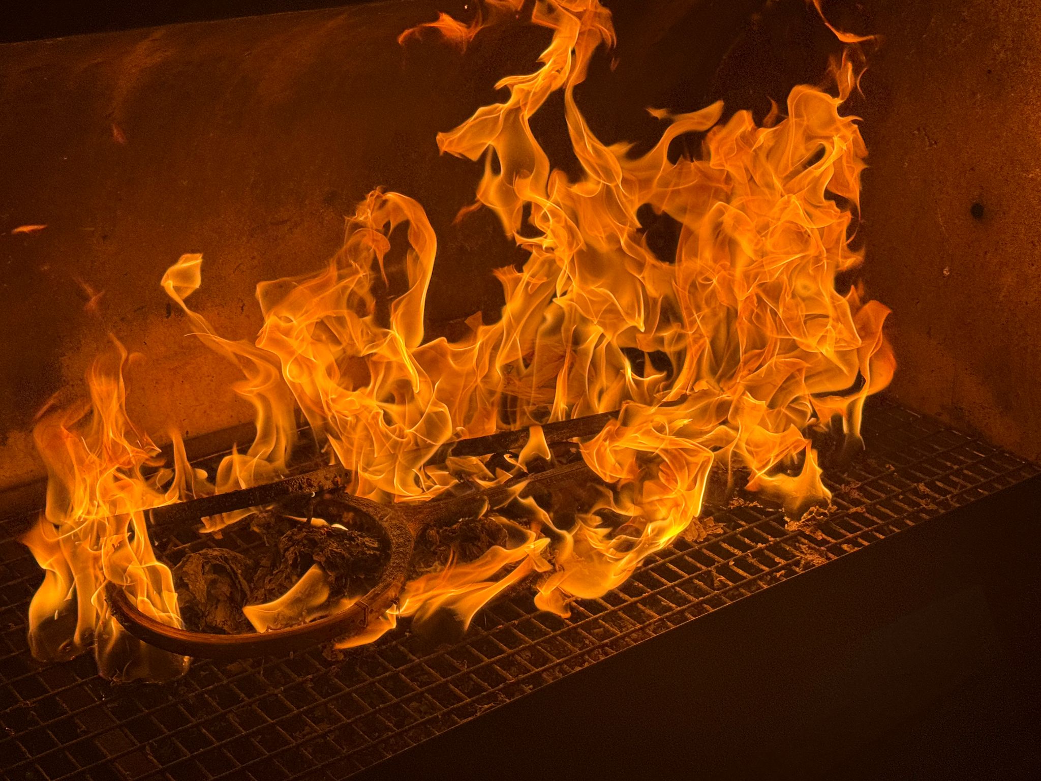 WhatsApp Image 2026-01-14 at 12.21.51 (3)