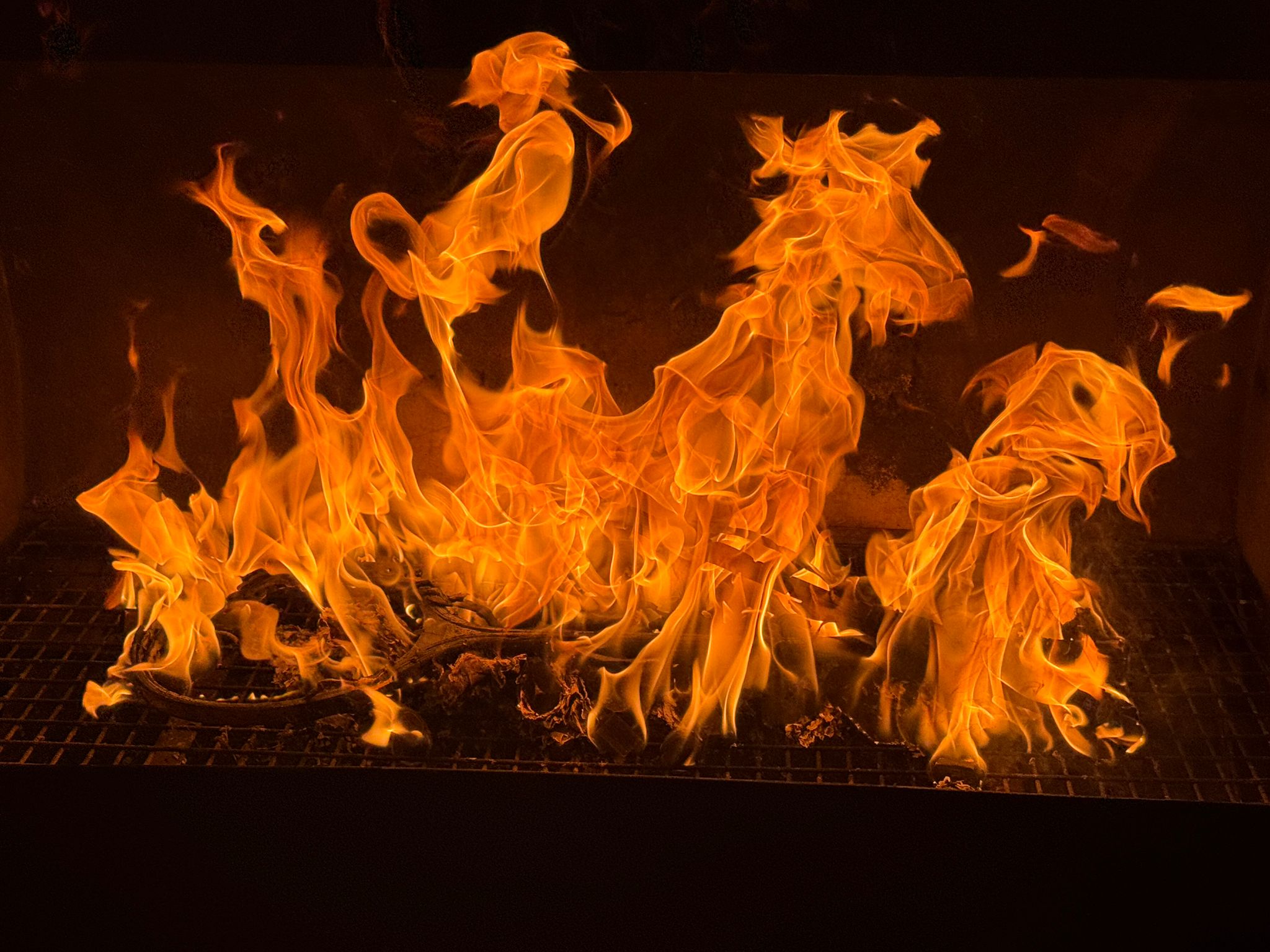 WhatsApp Image 2026-01-14 at 12.21.51 (6)